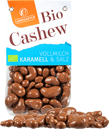 Cashews in Vollmilch-Schokolade mit Salz-Karamell