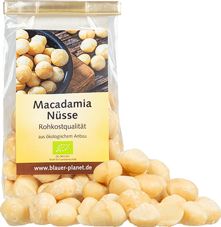 Macadamia