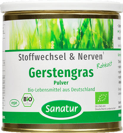 Gerstengras Pulver 