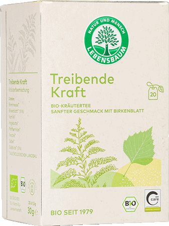 Treibende Kraft